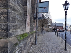 Octospora musci-muralis