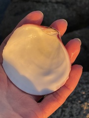 Semele decisa