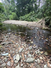 Erpetogomphus sabaleticus