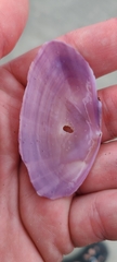 Gari convexa