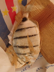Diplodus lineatus