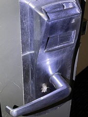 Sympistis perscripta