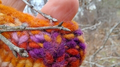 Quercus georgiana