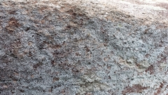 Lepraria normandinoides