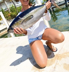 Thunnus atlanticus
