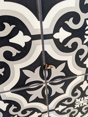 Dichromia quinqualis