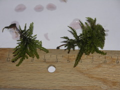 Thamnobryum alopecurum