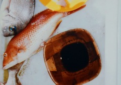 Bodianus unimaculatus