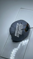 Brachinus janthinipennis