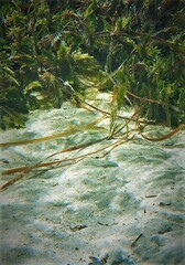 Sillaginodes punctatus