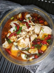Channa argus