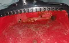 Apostolepis assimilis