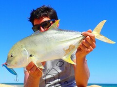 Caranx papuensis