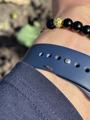 Pseudomyrmex pallidus