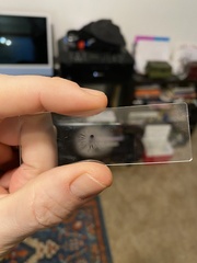 Heimiomyces fulvipes