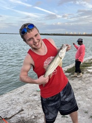 Centropomus undecimalis