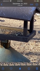 Baeolophus wollweberi