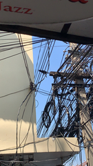 Corvus macrorhynchos levaillantii