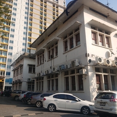 Corvus macrorhynchos levaillantii