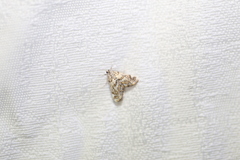 Parapoynx polydectalis