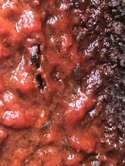 Drosophilidae