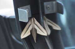 Theretra silhetensis