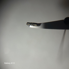 Cylindromorphus filum