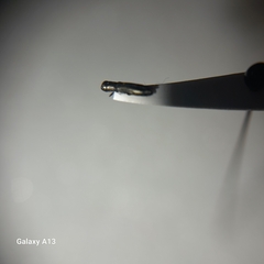 Cylindromorphus filum