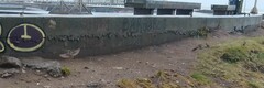 Passer domesticus