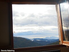 Ptyonoprogne rupestris