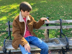 Sciurus carolinensis