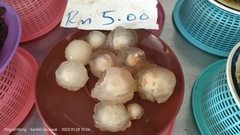 Calostoma