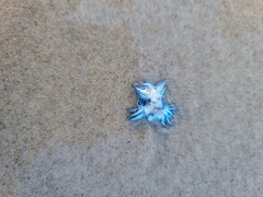 Glaucus atlanticus