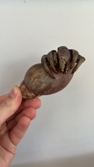 Coenobita violascens