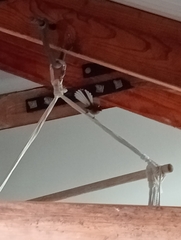 Rhipidura fuliginosa fuliginosa