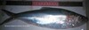Caspian Marine Shad - Photo (c) 
Mohammad Sadegh Alavi-Yeganeh & Ramin Ghotbi, some rights reserved (CC BY)