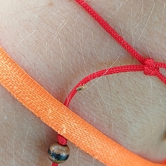 Thaumastocoris peregrinus