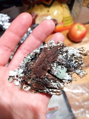 Platismatia tuckermanii