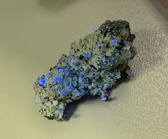 Hypotrachyna pustulifera