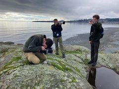 Branchinecta cornigera