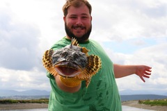 Myoxocephalus polyacanthocephalus