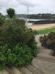 Ditropidus compactus