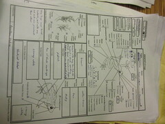 Fejervarya orissaensis