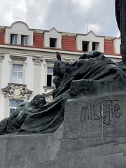 Columba livia domestica