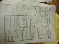 Fejervarya orissaensis