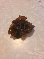 Phaeotremella frondosa