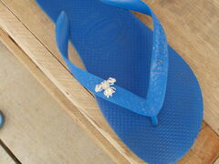 Epicadus heterogaster