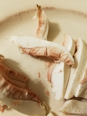 Agaricus abruptibulbus