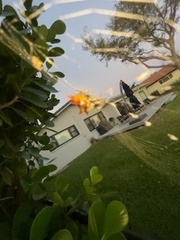 Gasteracantha cancriformis