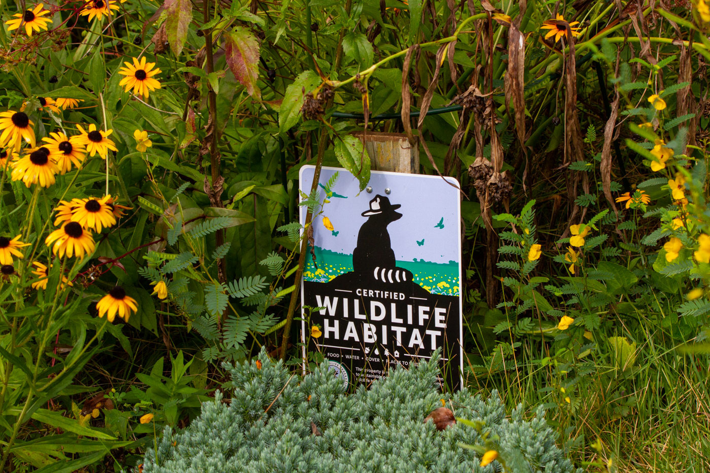 Grovedale Garden Wildlife Habitat sign